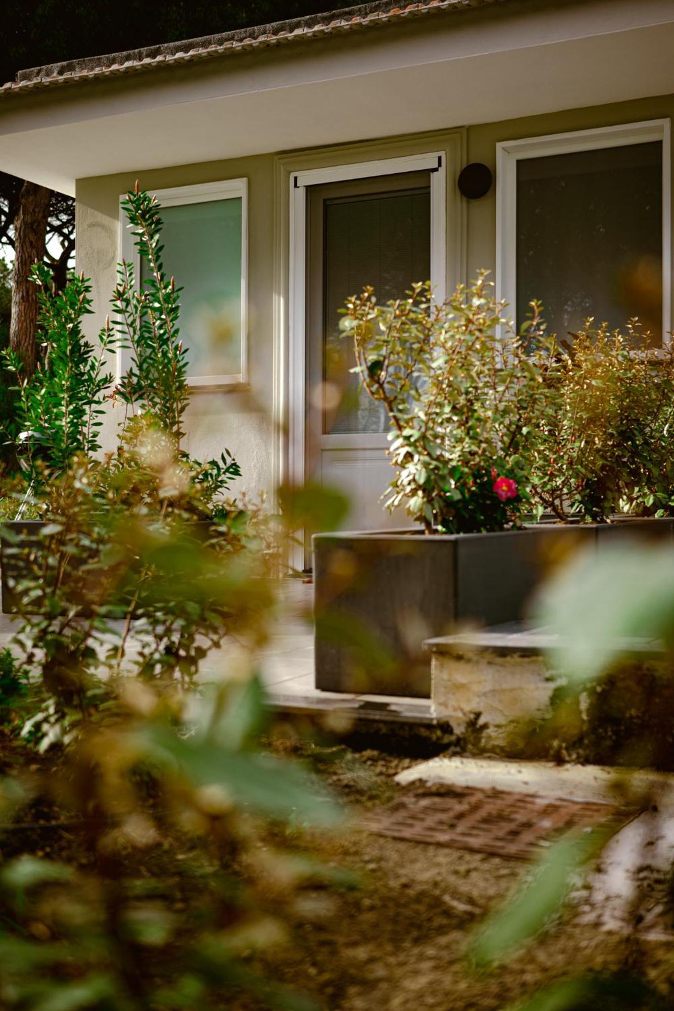 Bosco Mattavona Bed & Breakfast Boscotrecase Exterior photo